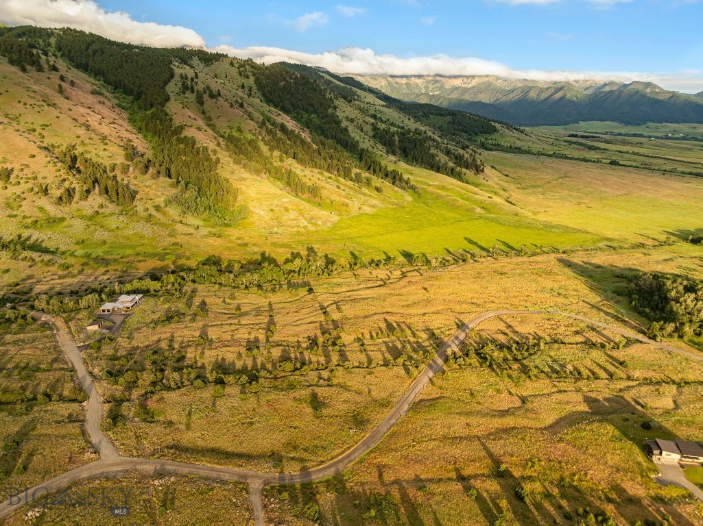 1428 Evan Reese Creek Road Property Photo 4