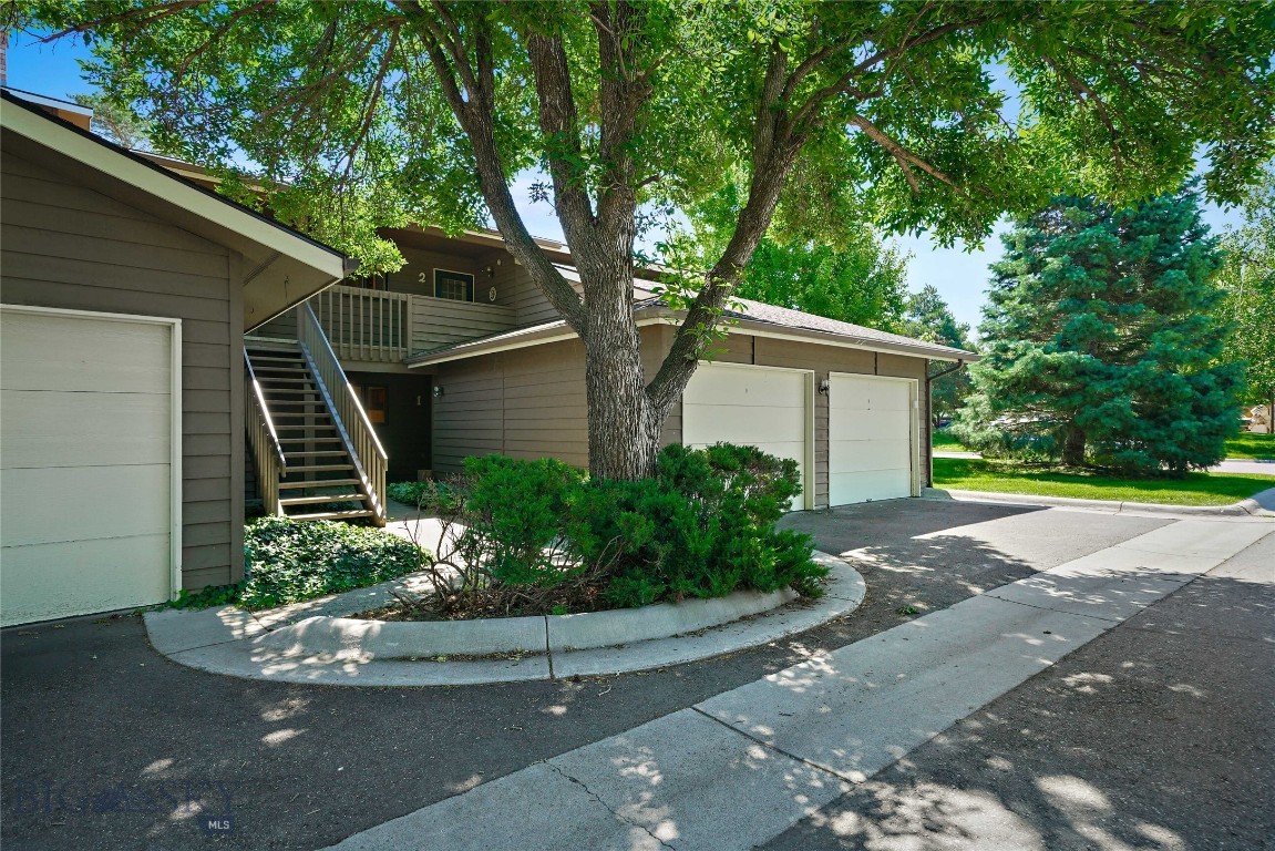 1703 W Olive Street 1 Property Photo 1