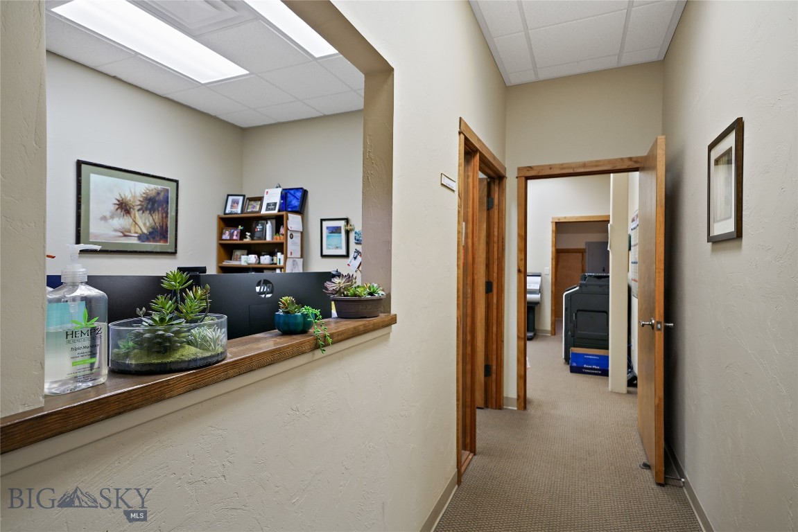 3810 Valley Commons Avenue 4 Property Photo 5