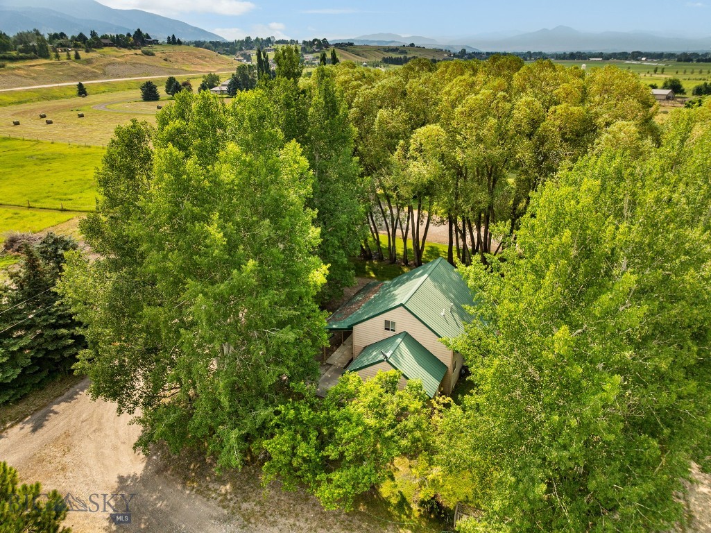 50 Tylers Trail Property Photo 46