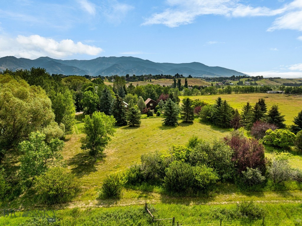 50 Tylers Trail Property Photo 54