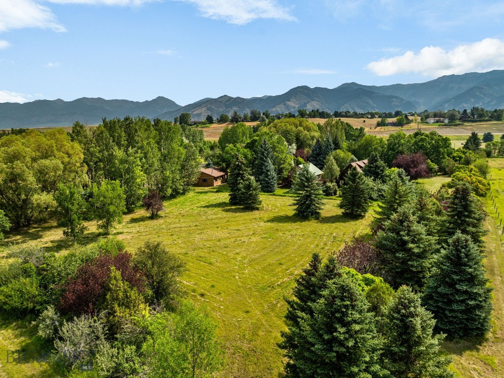 50 Tylers Trail Property Photo 55