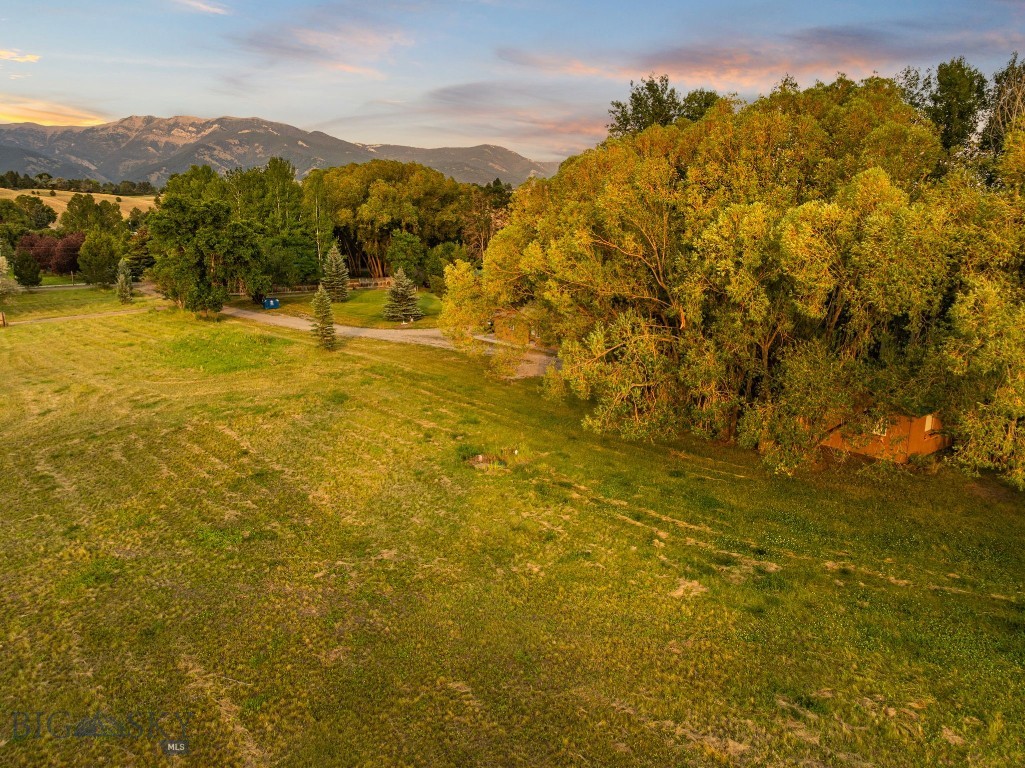 50 Tylers Trail Property Photo 72
