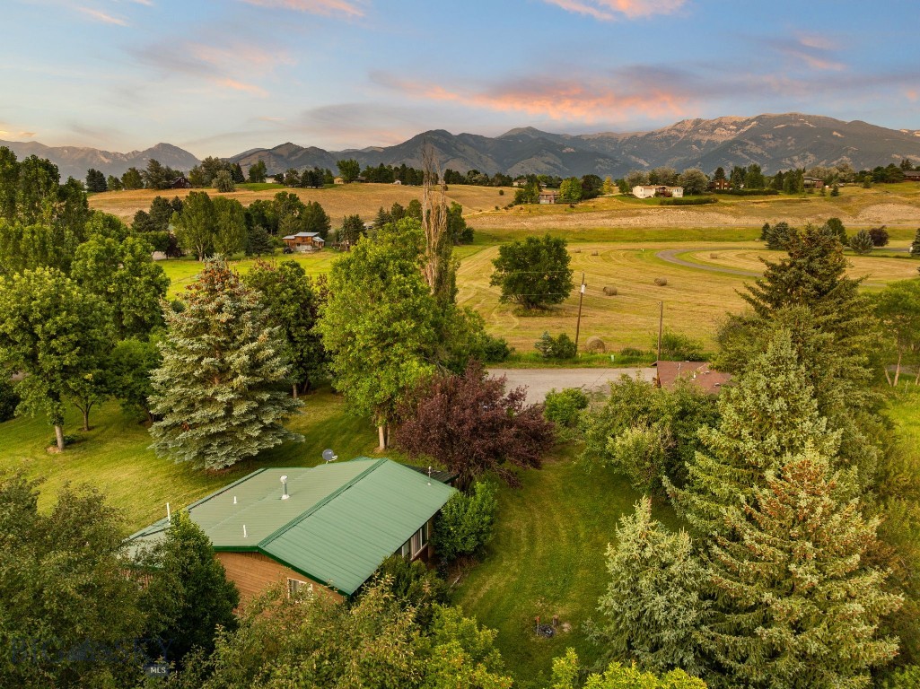 50 Tylers Trail Property Photo 79