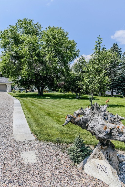 1165 Laknar Lane Property Photo 7
