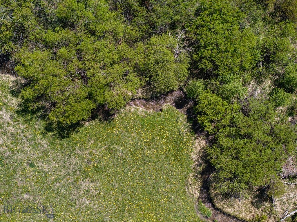 1607 Shields River Road Property Photo 8