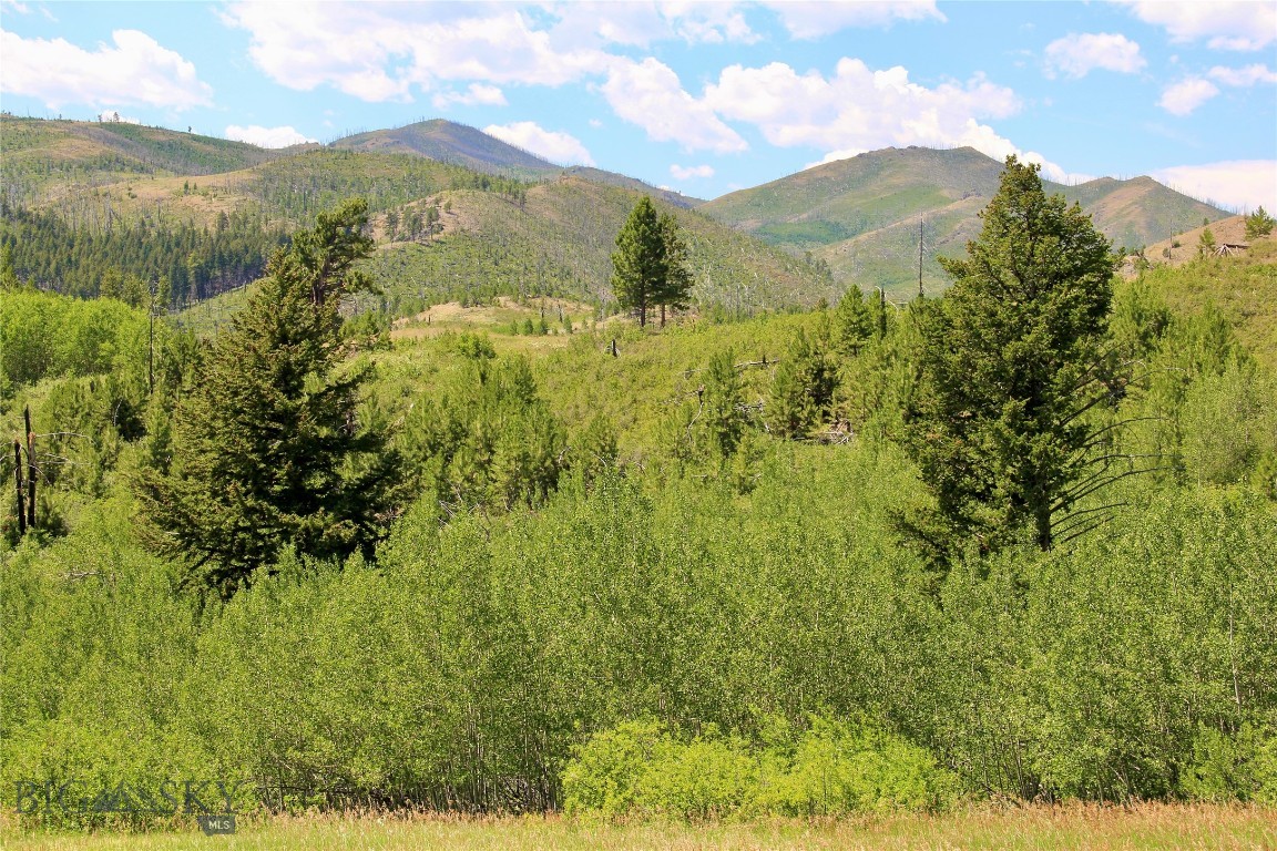 378 W Bridger Creek Road Property Photo 10
