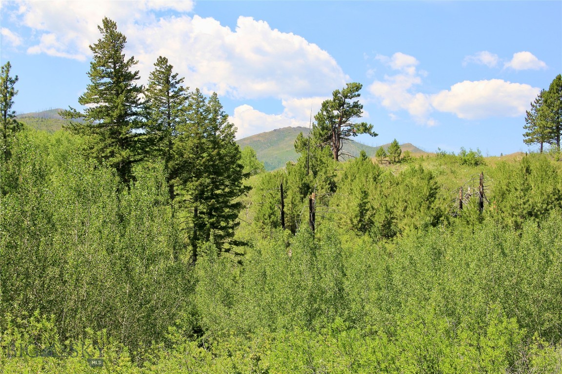 378 W Bridger Creek Road Property Photo 19
