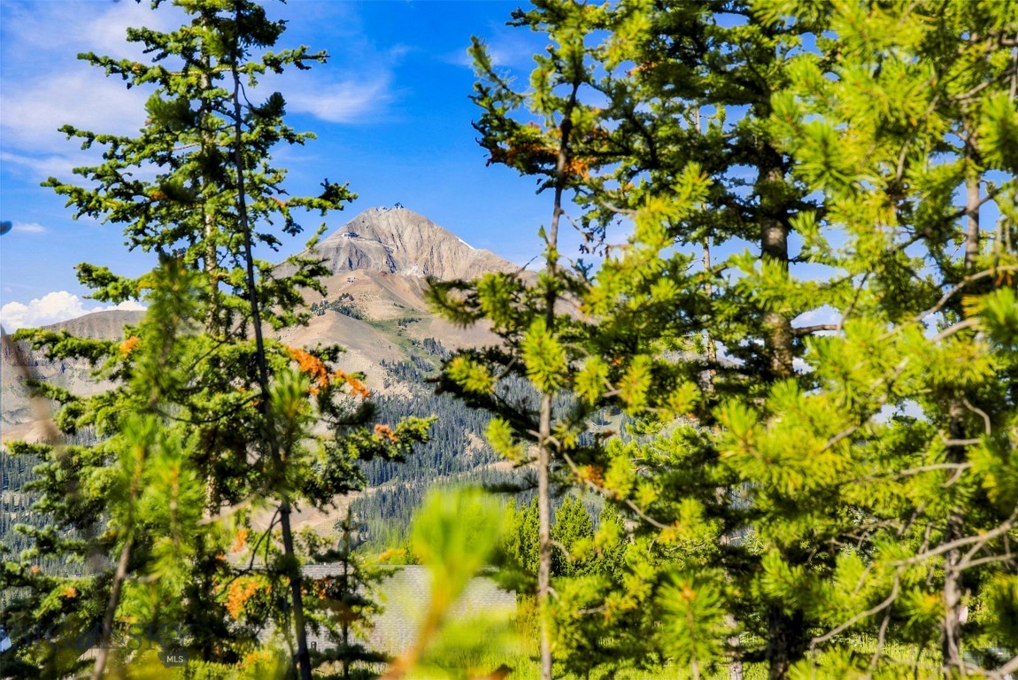 40 Swift Bear Property Photo 6