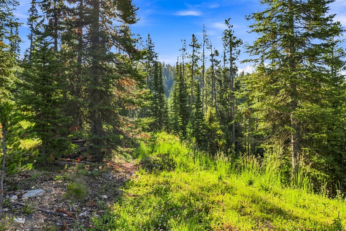 40 Swift Bear Property Photo 14