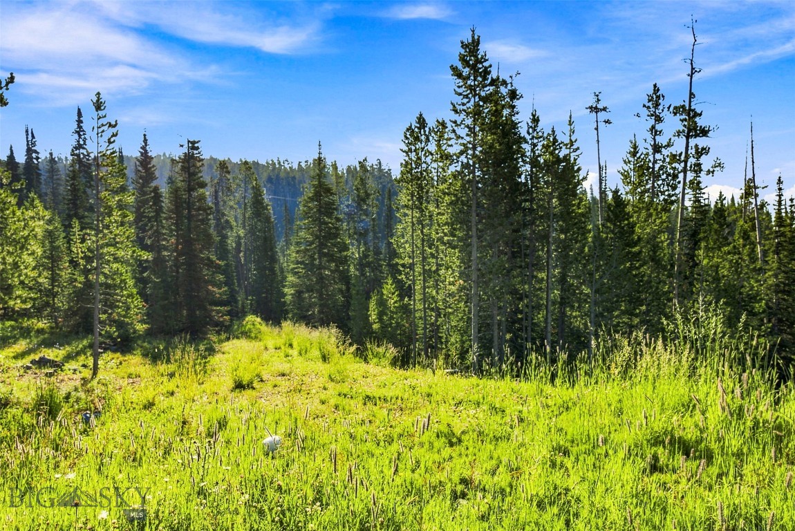 40 Swift Bear Property Photo 15
