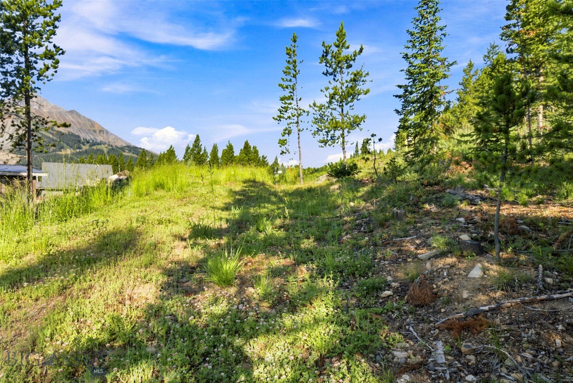 40 Swift Bear Property Photo 16