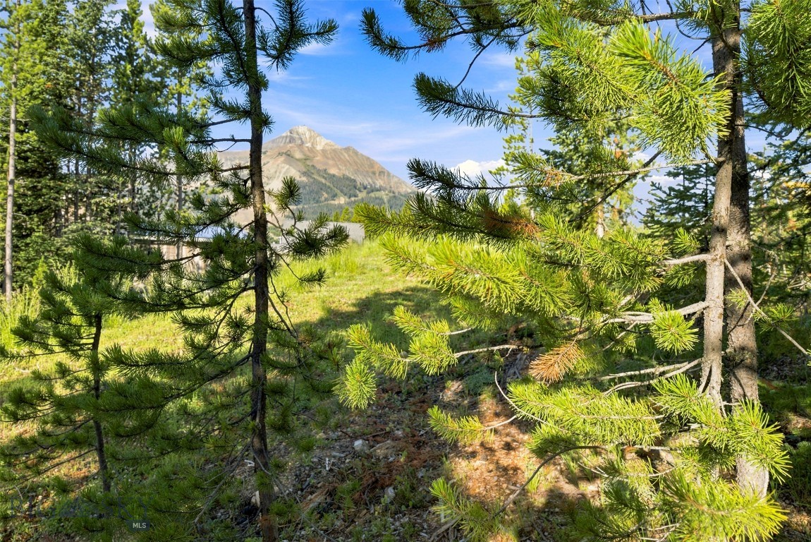 40 Swift Bear Property Photo 17