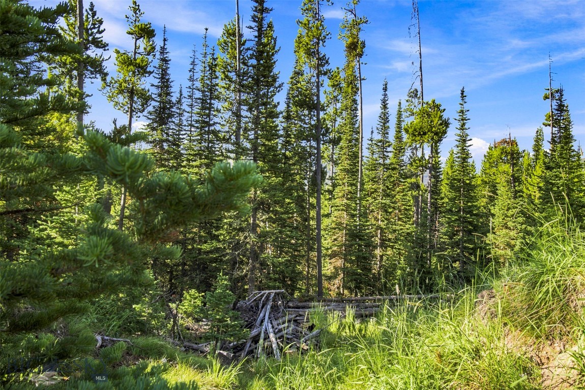 40 Swift Bear Property Photo 21