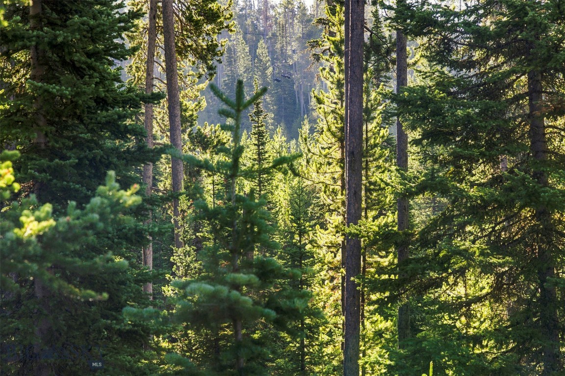 40 Swift Bear Property Photo 22