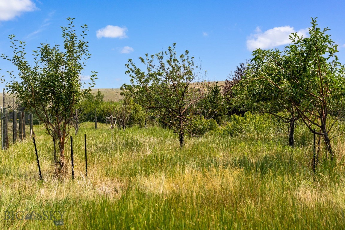 426 Antelope Creek Property Photo 19