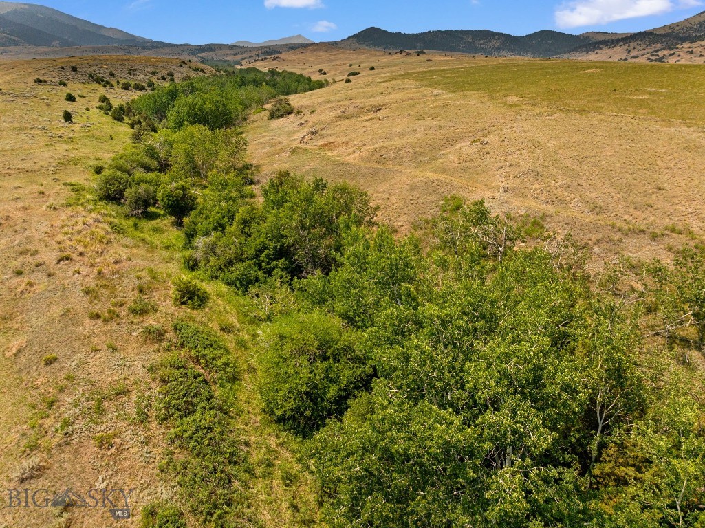 426 Antelope Creek Property Photo 39