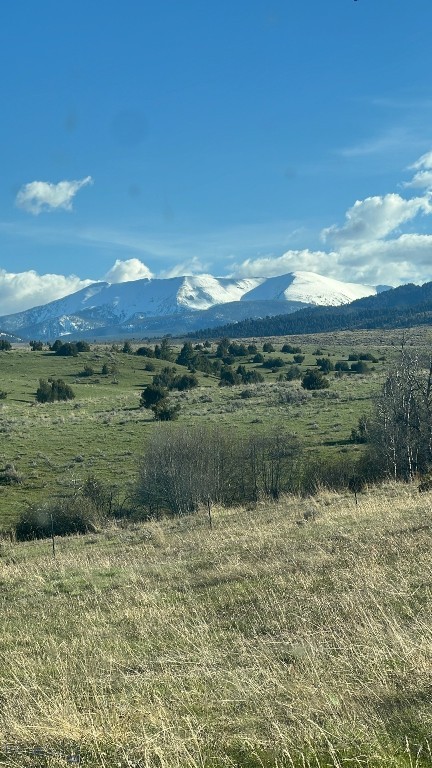 426 Antelope Creek Property Photo 49