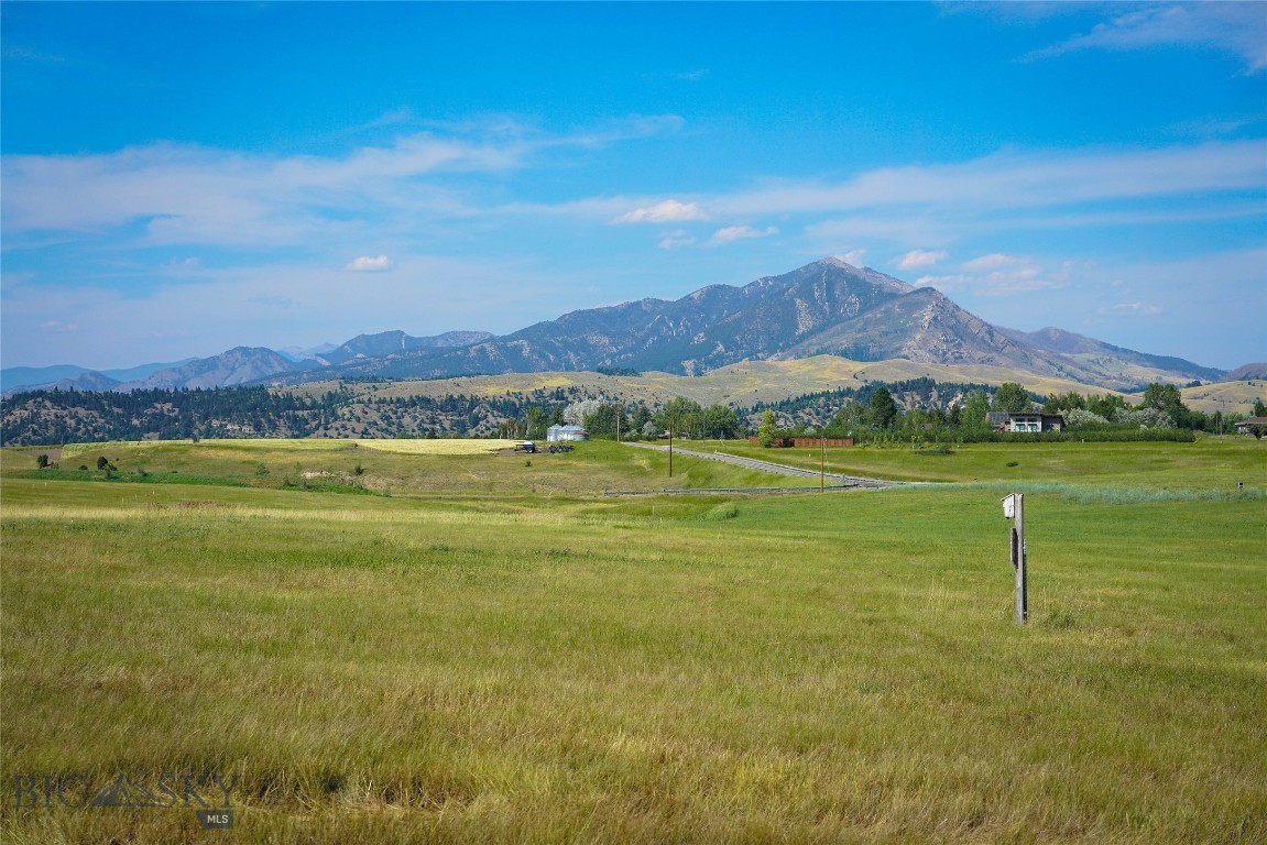 260 Boreal Way Property Photo 4
