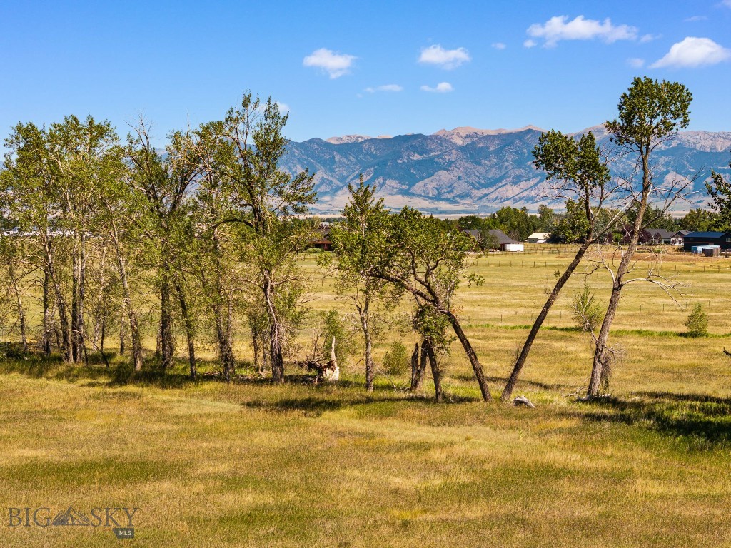 Tbd Frank Road Property Photo 25