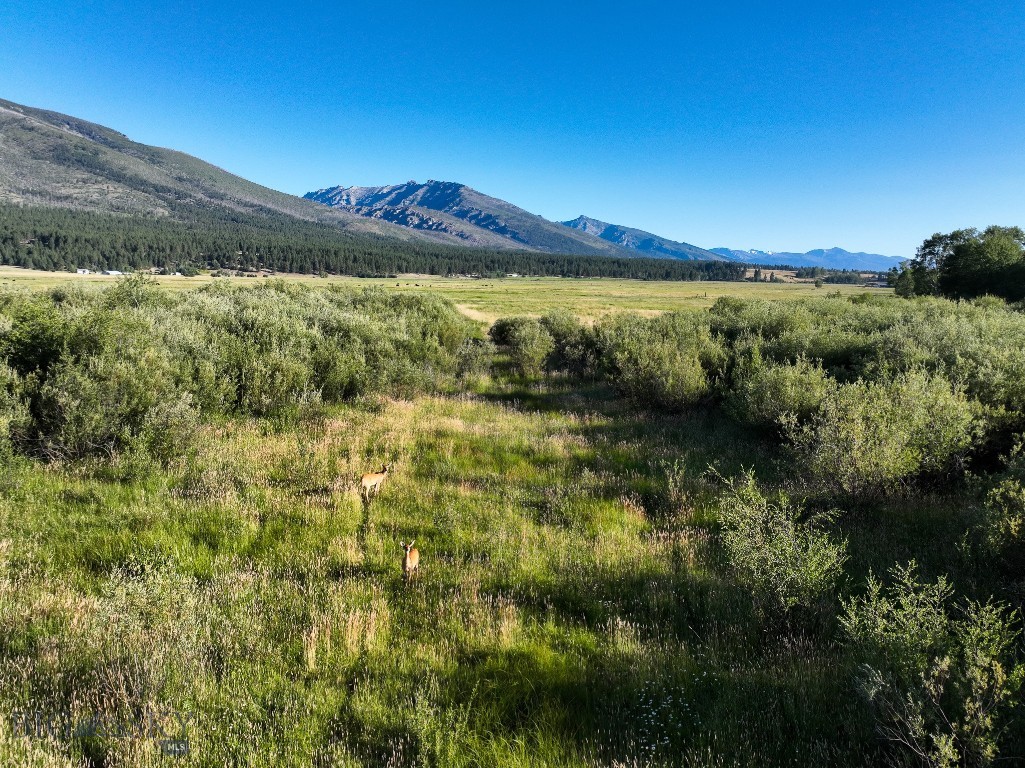 Nhn Highway 93 S Property Photo 5