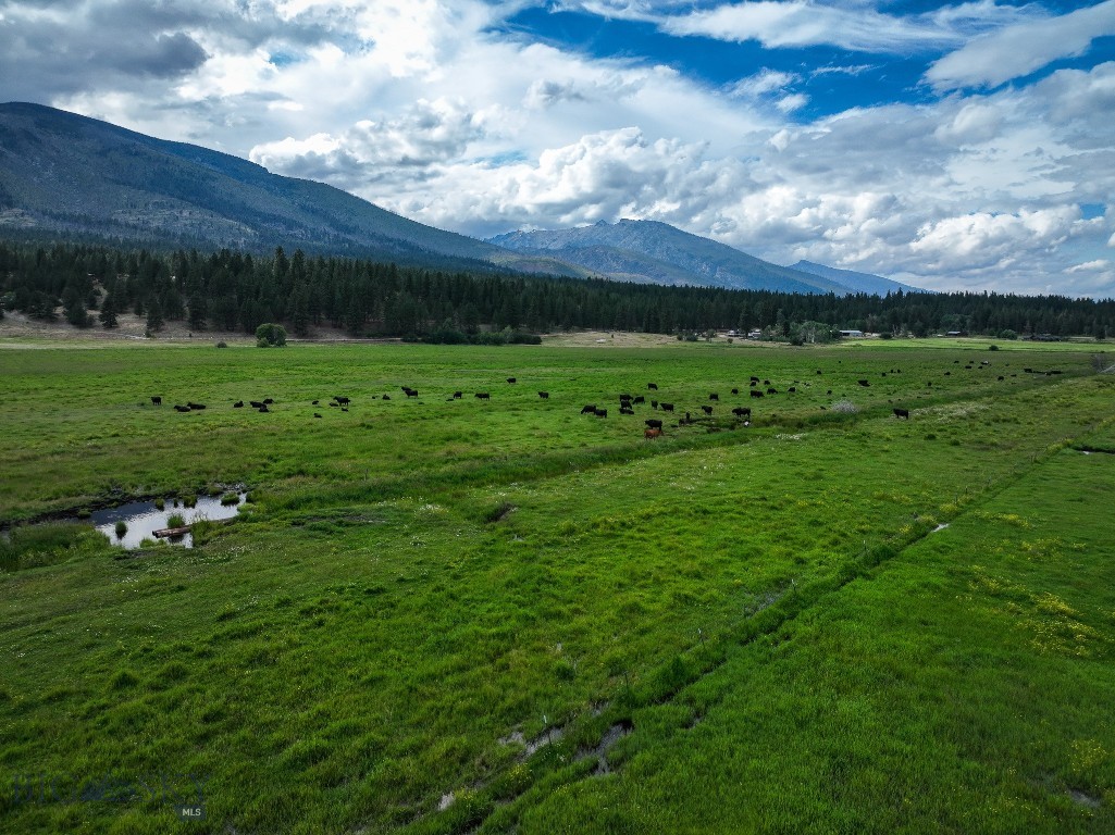 Nhn Highway 93 S Property Photo 16