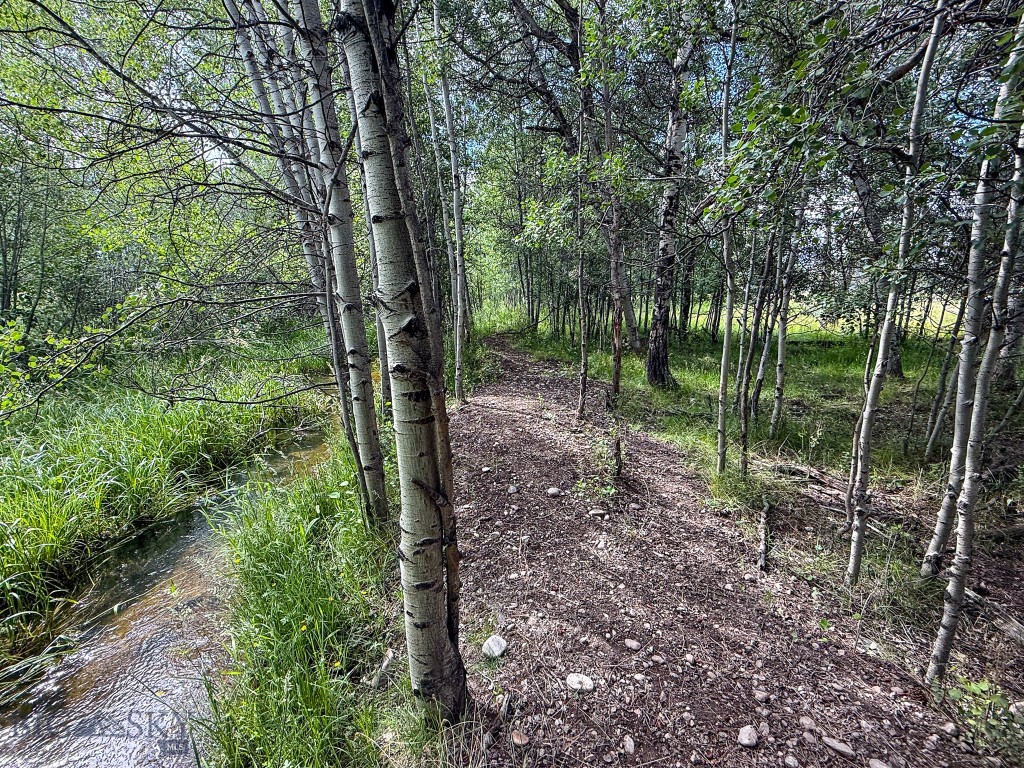 Nhn Highway 93 S Property Photo 43