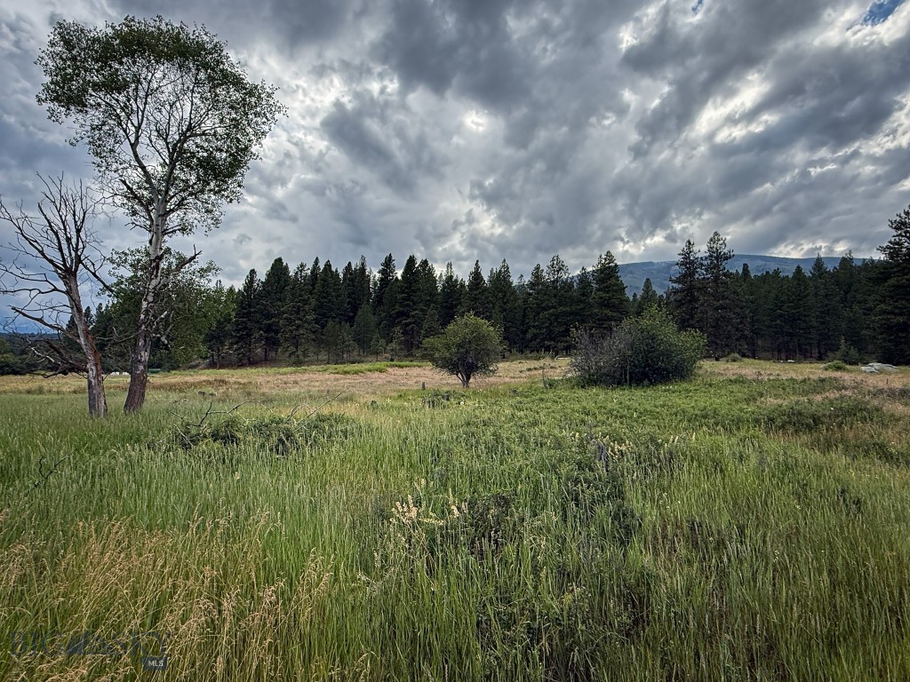 Nhn Highway 93 S Property Photo 61