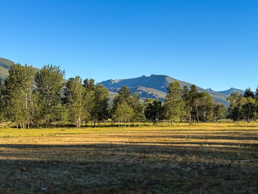 Nhn Highway 93 S Property Photo 62