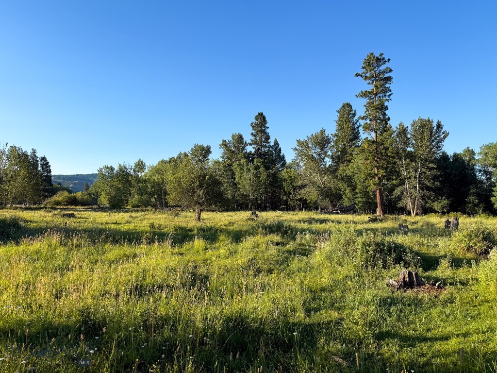 Nhn Highway 93 S Property Photo 65