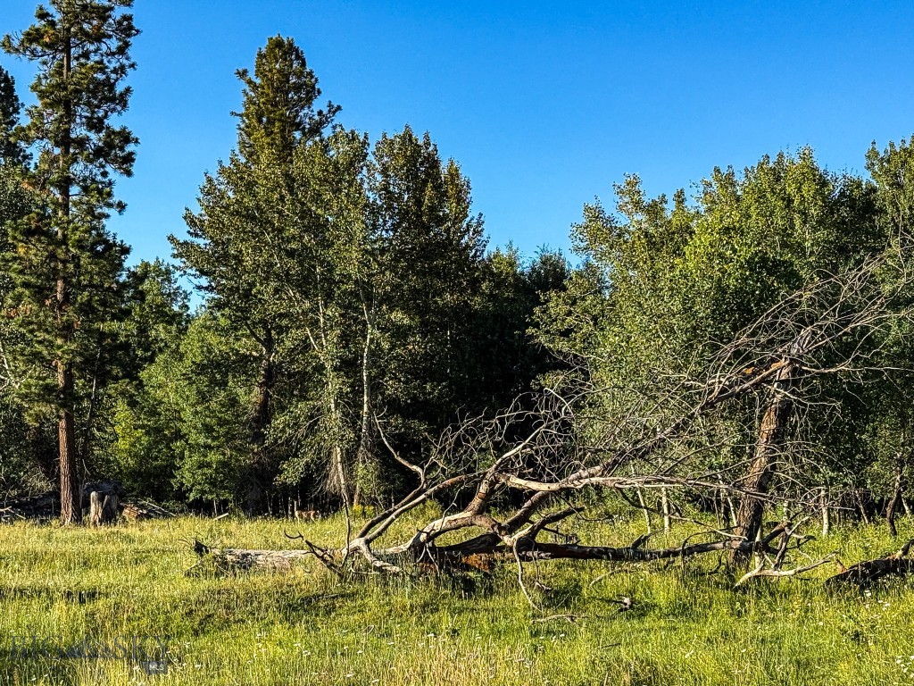 Nhn Highway 93 S Property Photo 67