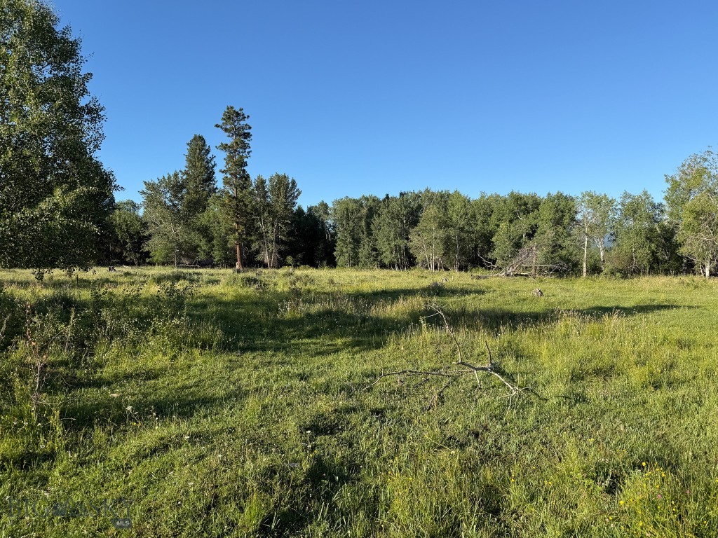 Nhn Highway 93 S Property Photo 75