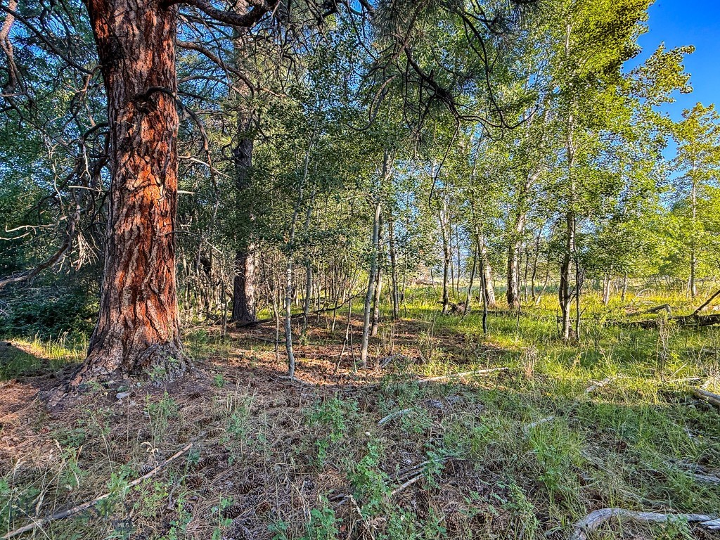 Nhn Highway 93 S Property Photo 78