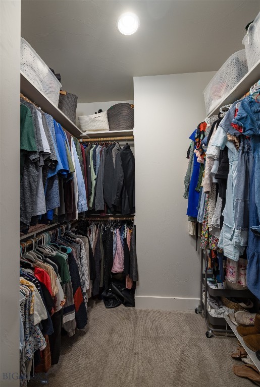 1503 Cheery Street Property Photo 20