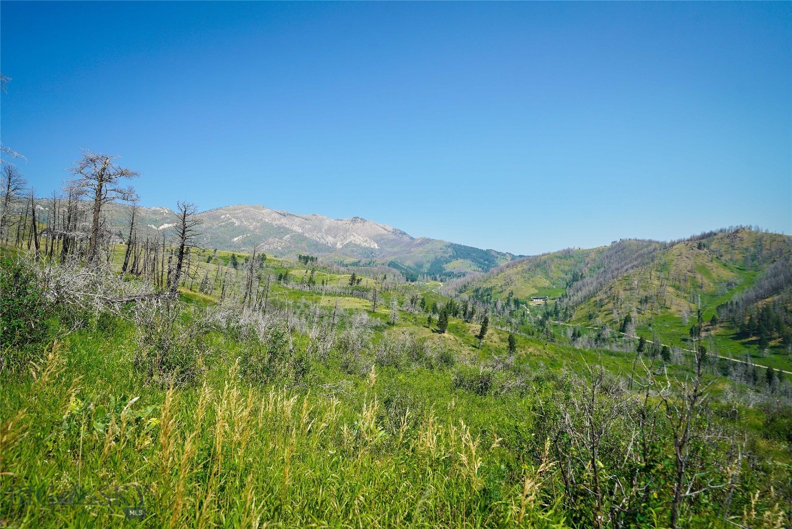 712 Beasley Creek Property Photo 18
