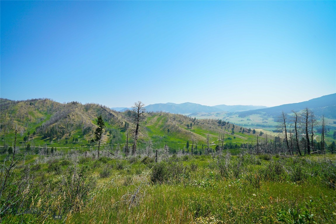 712 Beasley Creek Property Photo 20