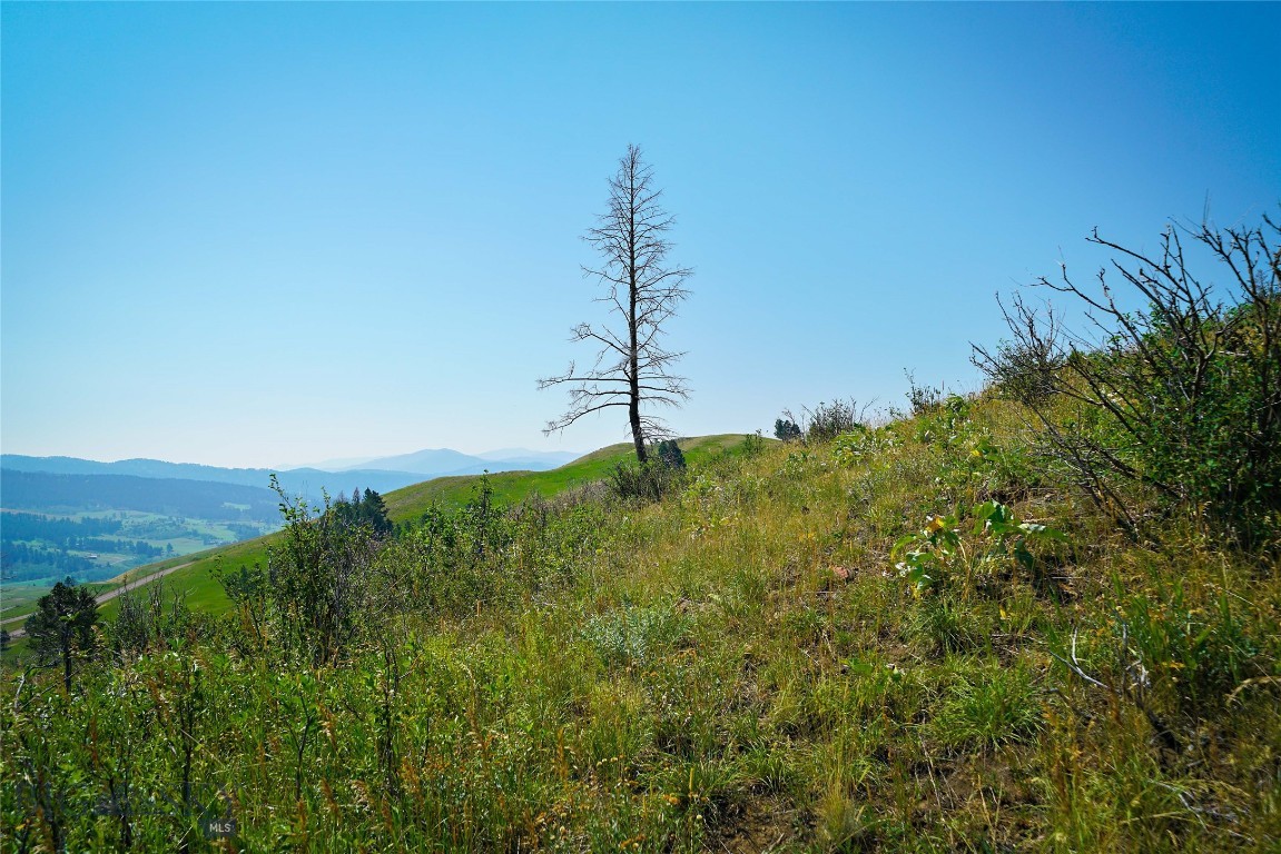 712 Beasley Creek Property Photo 21