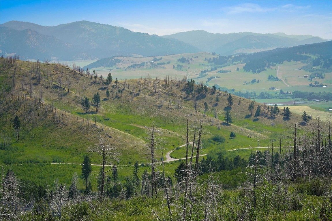 712 Beasley Creek Property Photo 23