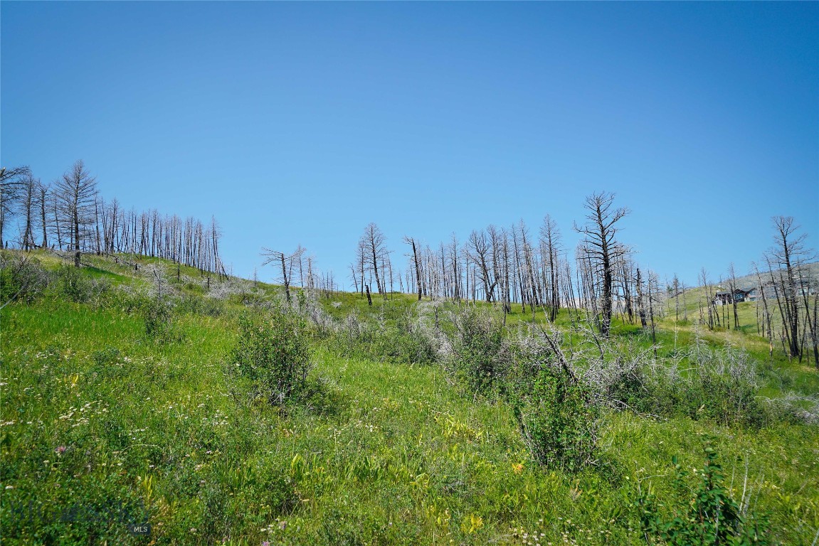 712 Beasley Creek Property Photo 24