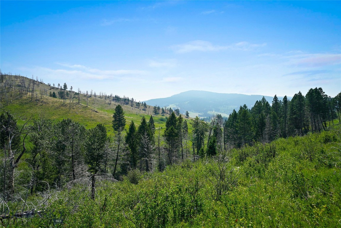 712 Beasley Creek Property Photo 25