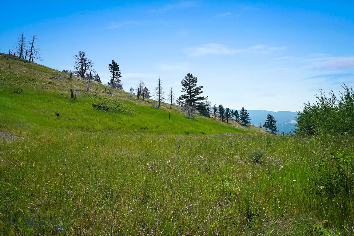 712 Beasley Creek Property Photo 26