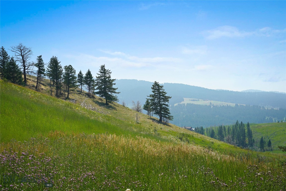 712 Beasley Creek Property Photo 29