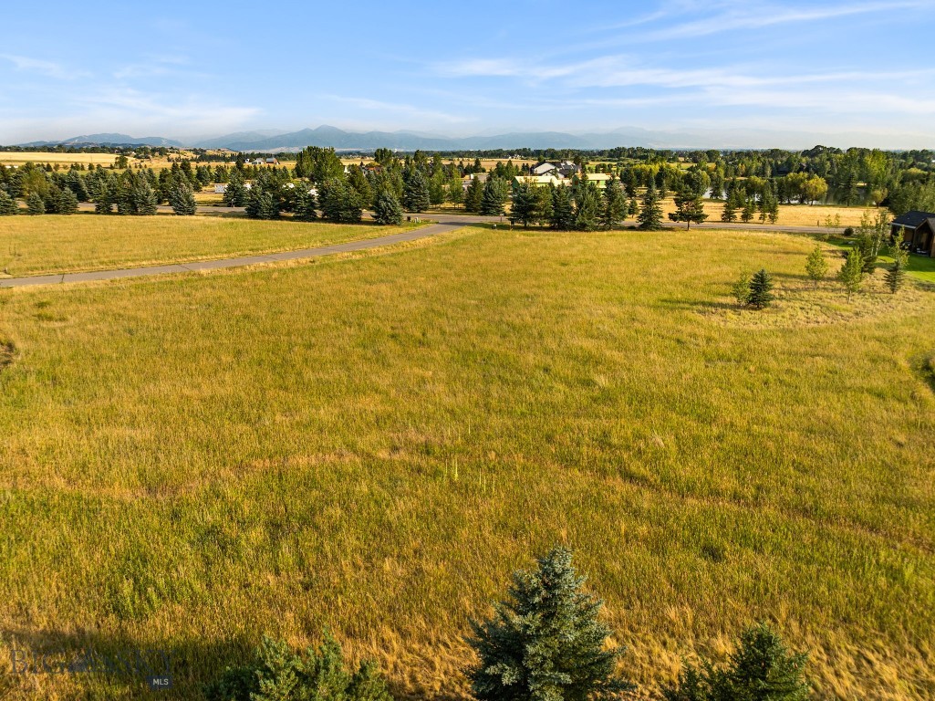 Tbd Wavy Leaf Way Property Photo 16