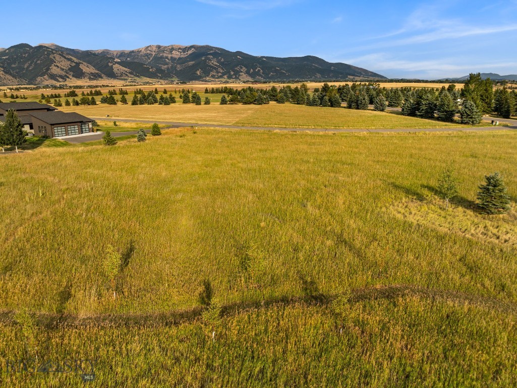Tbd Wavy Leaf Way Property Photo 17