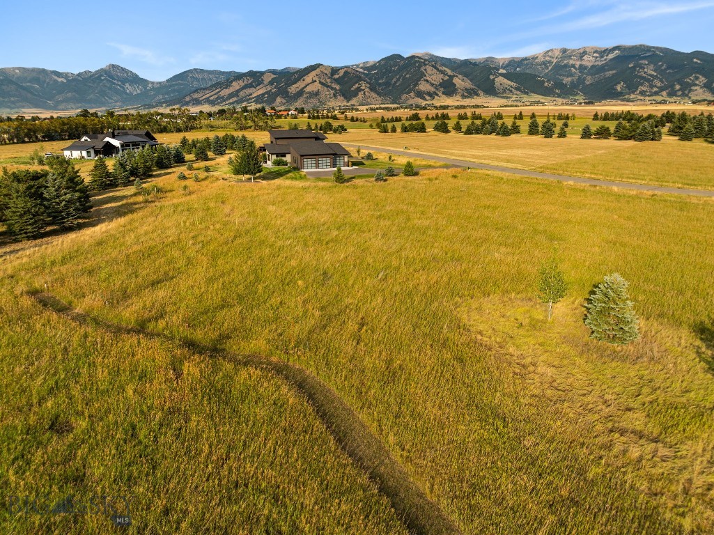Tbd Wavy Leaf Way Property Photo 18