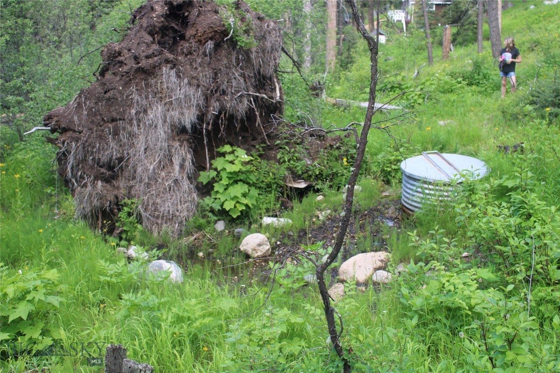 7 East Slope Road Property Photo 13