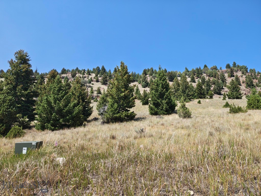 985 Tenderfoot Trail Property Photo 1