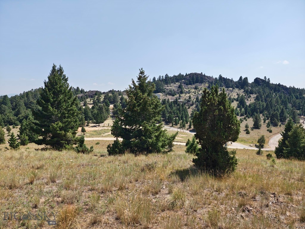 985 Tenderfoot Trail Property Photo 3