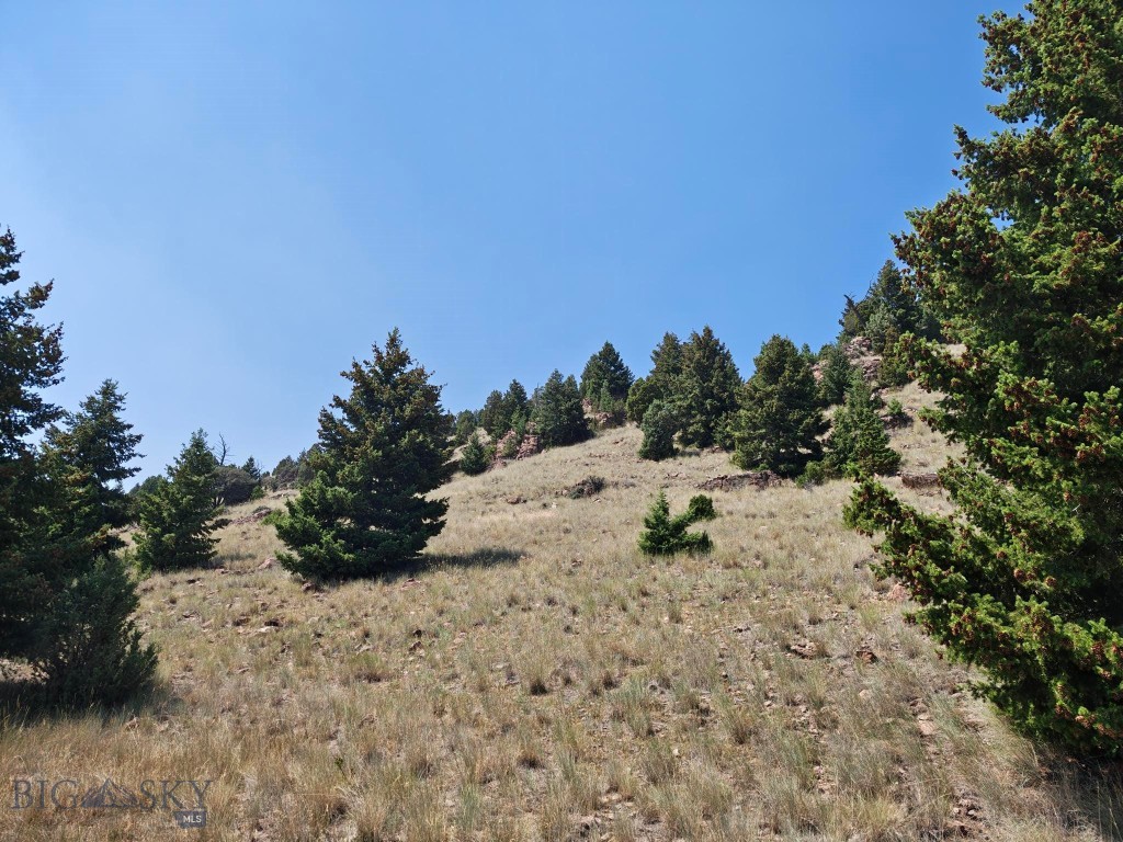 985 Tenderfoot Trail Property Photo 4