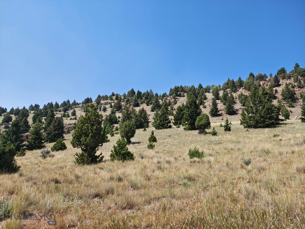 985 Tenderfoot Trail Property Photo 5